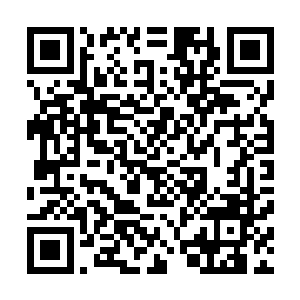 分散出去的美人鱼以及早就溜达出去的金鲨们均遇上了麻烦二维码生成