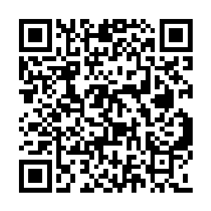 分散在四周的苍狼们有次序的向着附近涌了过来二维码生成
