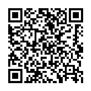 分明就能够感受到一股非常浓郁的嗜血残暴之气二维码生成