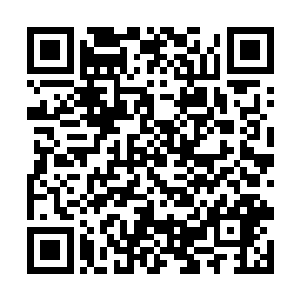 分明是眼前这个青年斩杀了诅咒谷中的强大神秘人物二维码生成