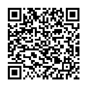 分明看到同行的异能者目光呆滞的盯着眼前这个美女二维码生成