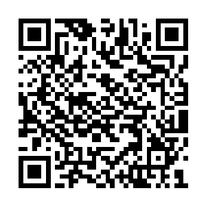 分清楚了宾主坐下之后林封谨这时候才说明来意二维码生成