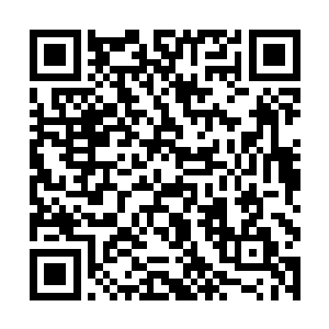 分辨不出自己是敌是友还是仅仅是块好吃的移动肉块二维码生成