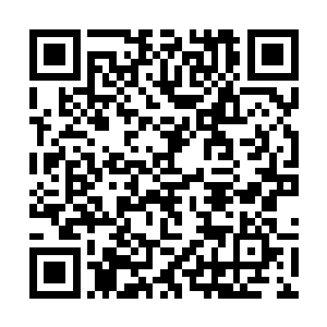 切萨雷制作这部新剧的时候甚至都没有抱太大的希望二维码生成