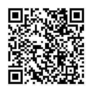 刘凡回归这里立刻有人接过刘凡带回的诸多天地灵物二维码生成