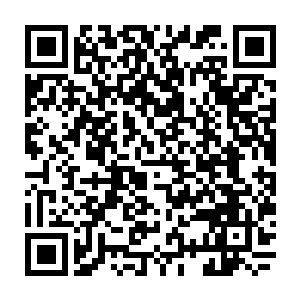 刘刺史……还有许多隐在黑暗中尚未露面的人……终有一日都会被蛛网牢牢粘住二维码生成