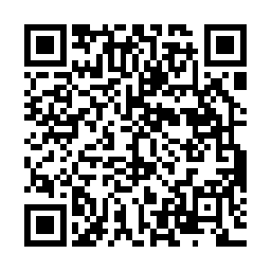 刘士伟从包裹中拿出了几根小巧的电棍递给了林诗音四位女生后二维码生成