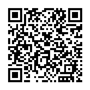 刘大少你说话得负责任啊……什么就是我是别人请来的托儿了二维码生成