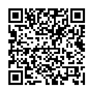 刘宇一方除了刘宇之外其他人最高不过是后天巅峰二维码生成