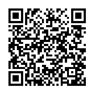 刘承兰和刘承英的脸型都和孙夫人很相象――宽额头二维码生成