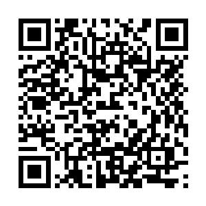 刘文采一听说这人居然是金乐福的董事顿时吓了一跳二维码生成