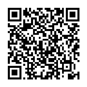 刘晓雪此时确实不相信眼前这个已经死去的女孩是张婧二维码生成