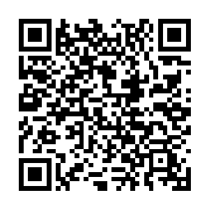刘萱便如往常一般抱着暖炉在院中晒着太阳看着书二维码生成