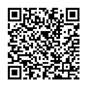 刘萱接连几日均陪在柳母身旁与她一同接待来访宾客二维码生成