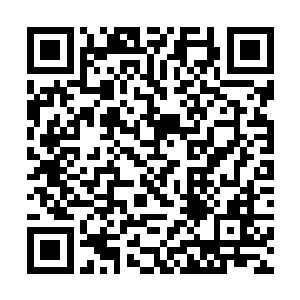 刘长元诧异的看看跟在巴克身后出现的那两个小姑娘二维码生成