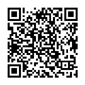 则一直被司空君豪当做宝贝疙瘩放在贴身的特制亚空间中二维码生成