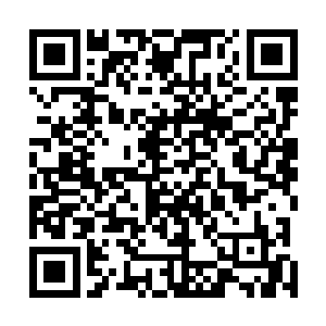 则密密麻麻的遍布着十几处跟那山顶一模一样的黑色土包二维码生成