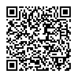 则是一个谁都不认识的浑身鳞片胸口被洞穿的身体和那具身体上一个长着角的二维码生成