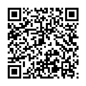 则是为了让玩家不至于在战斗中过份依赖这补充剂二维码生成