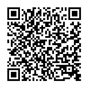 则是他在宝石湾捡到的半身人孤儿――很少有半身人父母会抛弃自己的孩子二维码生成