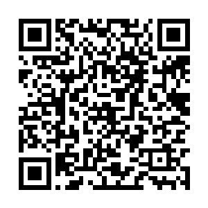 则是在冯广义和宋可心两人的带领下再次回了大营二维码生成