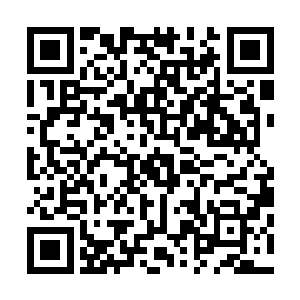 则是在记载叙述万牲园当中的盛况似乎连圣兽麒麟都惊动了二维码生成