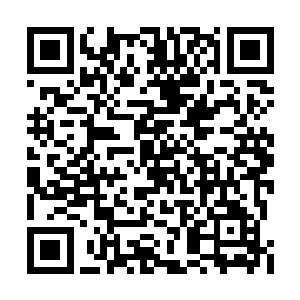 则是满脸羡慕地看着站立在黑色巨蛇头顶的人影二维码生成