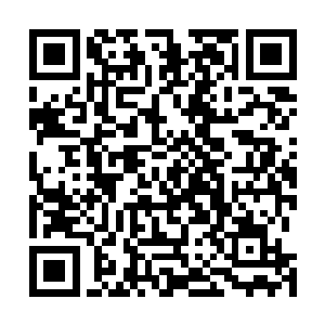 则是由八十一万个自然星域移植到我体内形成的人造宇宙二维码生成