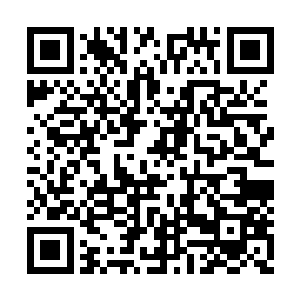 则是被一些杂七杂八的巫师和异族势力占据……二维码生成