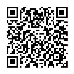 刚一睡着了贝海就把一小桶的冻饵直接倒进了海里二维码生成