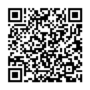 刚冲上前几步的巴克突然又感觉到右侧一片亮光晃眼二维码生成