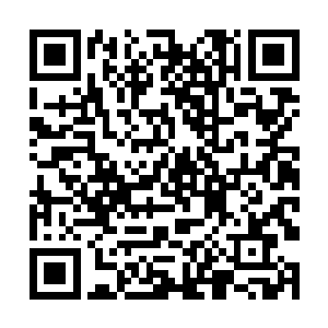 刚准备逃跑的变色龙当场就下了决心--必死的决心二维码生成