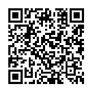 刚出生的狮子吃的肉有可能比成年的狼狗还要多二维码生成