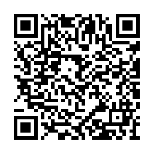 刚刚击退圣弃界得来的喜悦瞬间消失的无影无踪二维码生成