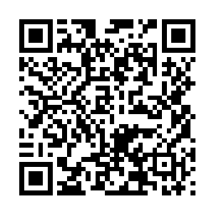 刚刚回到灵仙一族的风尊者脸上露出了温和的笑容二维码生成