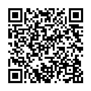 刚刚大黄狗就向林烽倾诉了它的这些野狗同胞们二维码生成