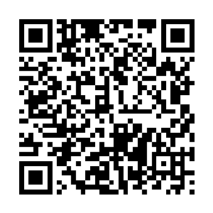 刚刚平息的纯阳之力马上就受到影响变得躁动不安二维码生成