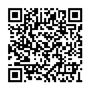 刚刚才重新赶到医院的曾小美忽然想起什么问题二维码生成