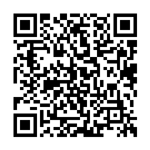 刚刚挂断电话的戴安娜看到林光山从楼梯上下来二维码生成