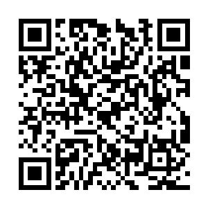 刚刚星月剑圣在把深海巨妖的一条触手粉碎的时候二维码生成