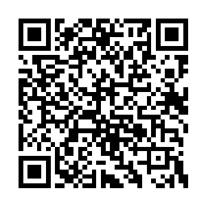 刚刚站直了的竹下大郎直接被夏天一脚踹了出去二维码生成