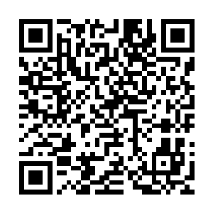 刚刚经历一次豺狼人入侵的白河谷地已经禁不起第二次风波了二维码生成