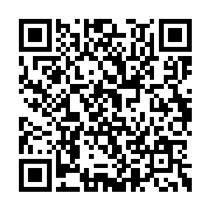 刚刚苏凡的速度在鬼王的眼中根本就没有看清楚二维码生成