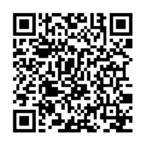 刚刚赶至的凌无邪一脸赞赏地凝视看着下面的风之凌二维码生成