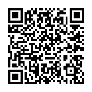 刚刚还哭丧着脸的老院长一下子笑成了一朵菊花二维码生成