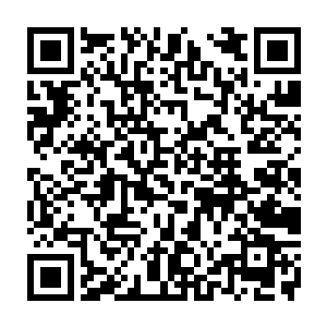 刚刚还在讨论陈诚这个举动成功率能有多大的三名解说则直接目瞪口呆了二维码生成