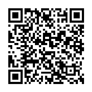 刚刚这些尸体上的储物装备都已经被夏天收走了二维码生成