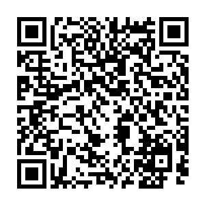 刚刚那个法师的自爆的确对我产生了伤害……虽说幻术的最高境界就是弄假成真二维码生成