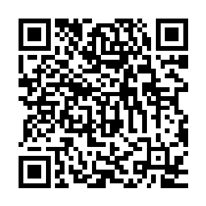 刚回来的月瑶正和几个手下说着先把大家手上东西给收上来的事二维码生成