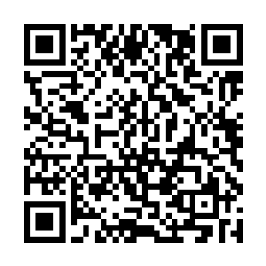 刚好就有大量的地元水晶让我在两年时间内进阶……二维码生成